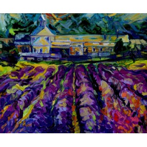 Lavender fields 2